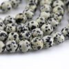 dalmatian jasper smooth round beads
