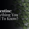 Serpentine: everything you need to know!