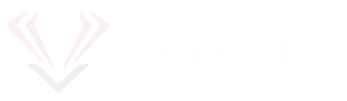 NN-Exports-Logo-3